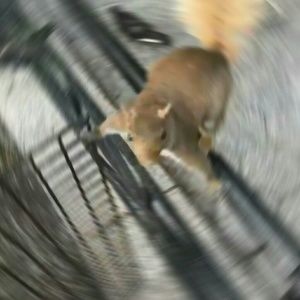 Meet your Posher, Luis