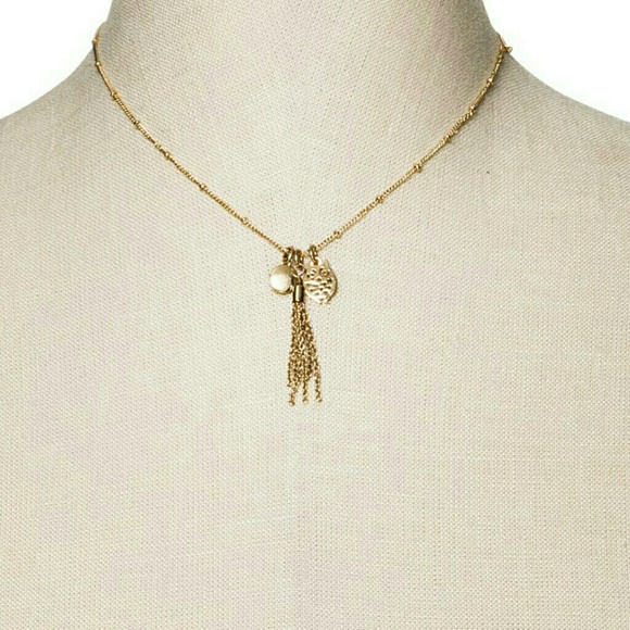 • TRADED - Picture 4 of 6