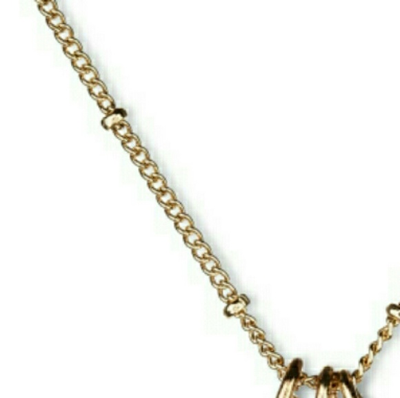 • TRADED - Picture 5 of 6