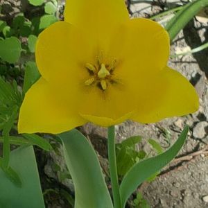 Meet your Posher, Theresa