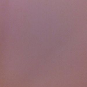 Meet your Posher, Nicki