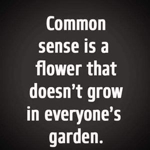 Meet your Posher, Jacquie