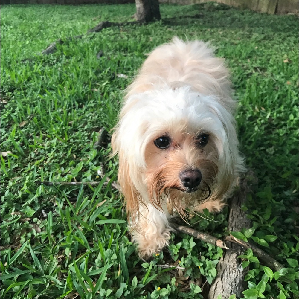 Meet your Posher, Vanessa