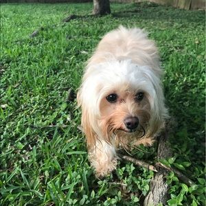 Meet your Posher, Vanessa