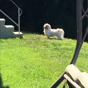 Meet your Posher, Jeff