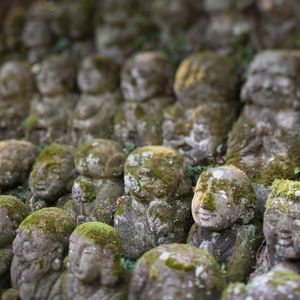 Meet your Posher, Willie