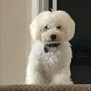 Meet your Posher, Wai hong