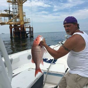 Meet your Posher, Henry