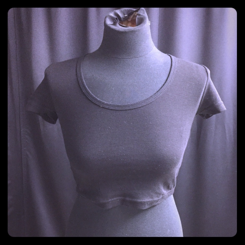 American apparels crop shirt
