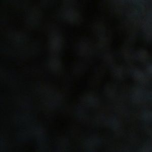 Meet your Posher, Rose