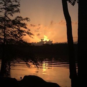 Meet your Posher, Naomi