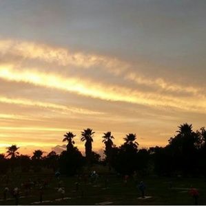 Meet your Posher, Sherell