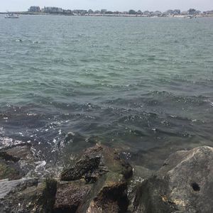 Meet your Posher, Luiza