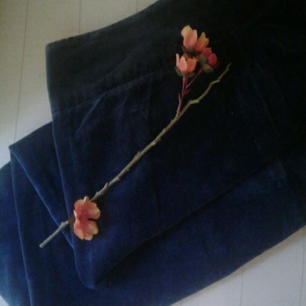 Blue Velvet Skirt
