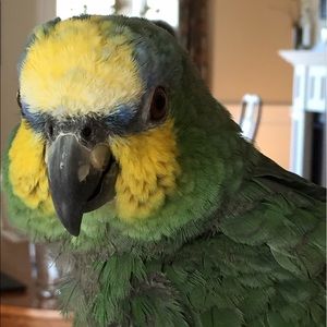 Make Offers! I want things to "fly" outta here!