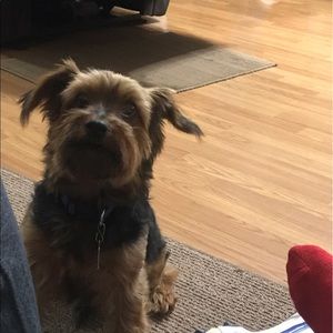 Meet your Posher, Cody