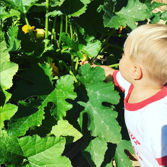 Reduce waste 🌎 PLEASE READ - Picture 3 of 3