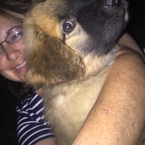 Meet your Posher, Bridget