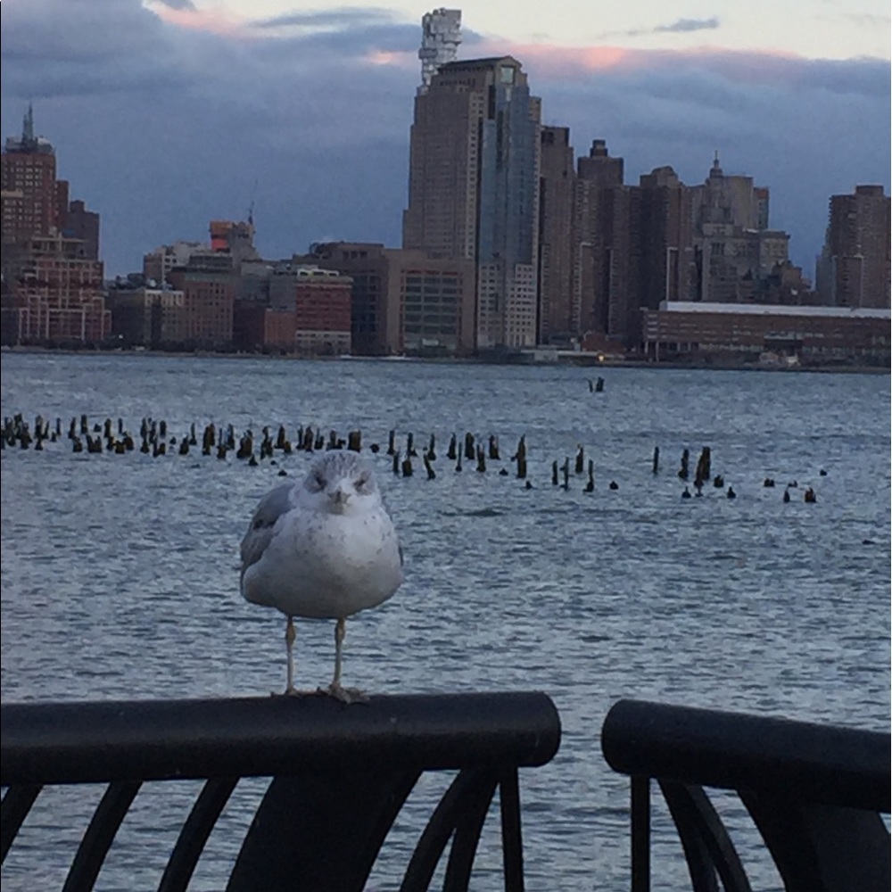 Meet your Posher, Heba