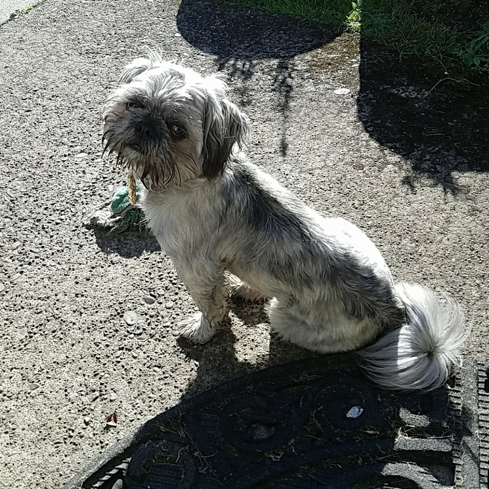 Meet your Posher, Leah