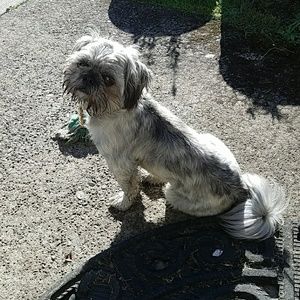 Meet your Posher, Leah