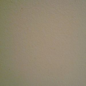 Meet your Posher, Edward