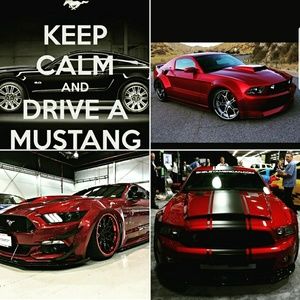 Meet your Posher, Edgard