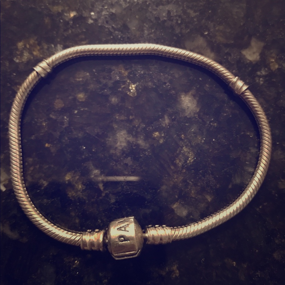 Pandora charm bracelet