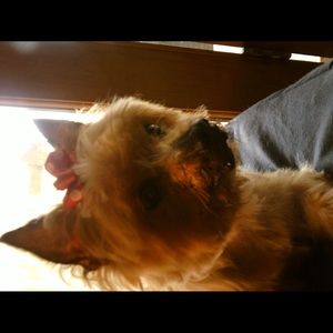 Meet your Posher, Carla a