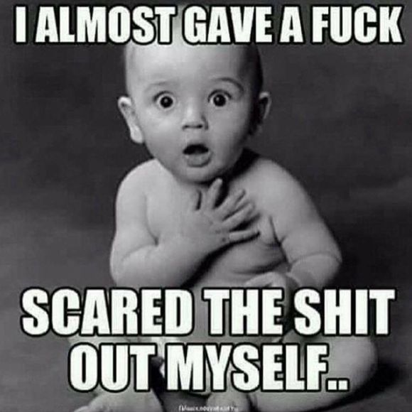 Meet your Posher, Chris - Picture 1 of 1