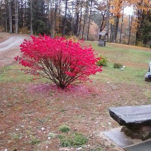 Meet your Posher, Buffy