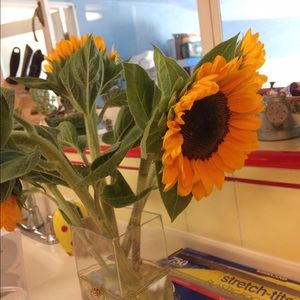 Meet your Posher, Julia