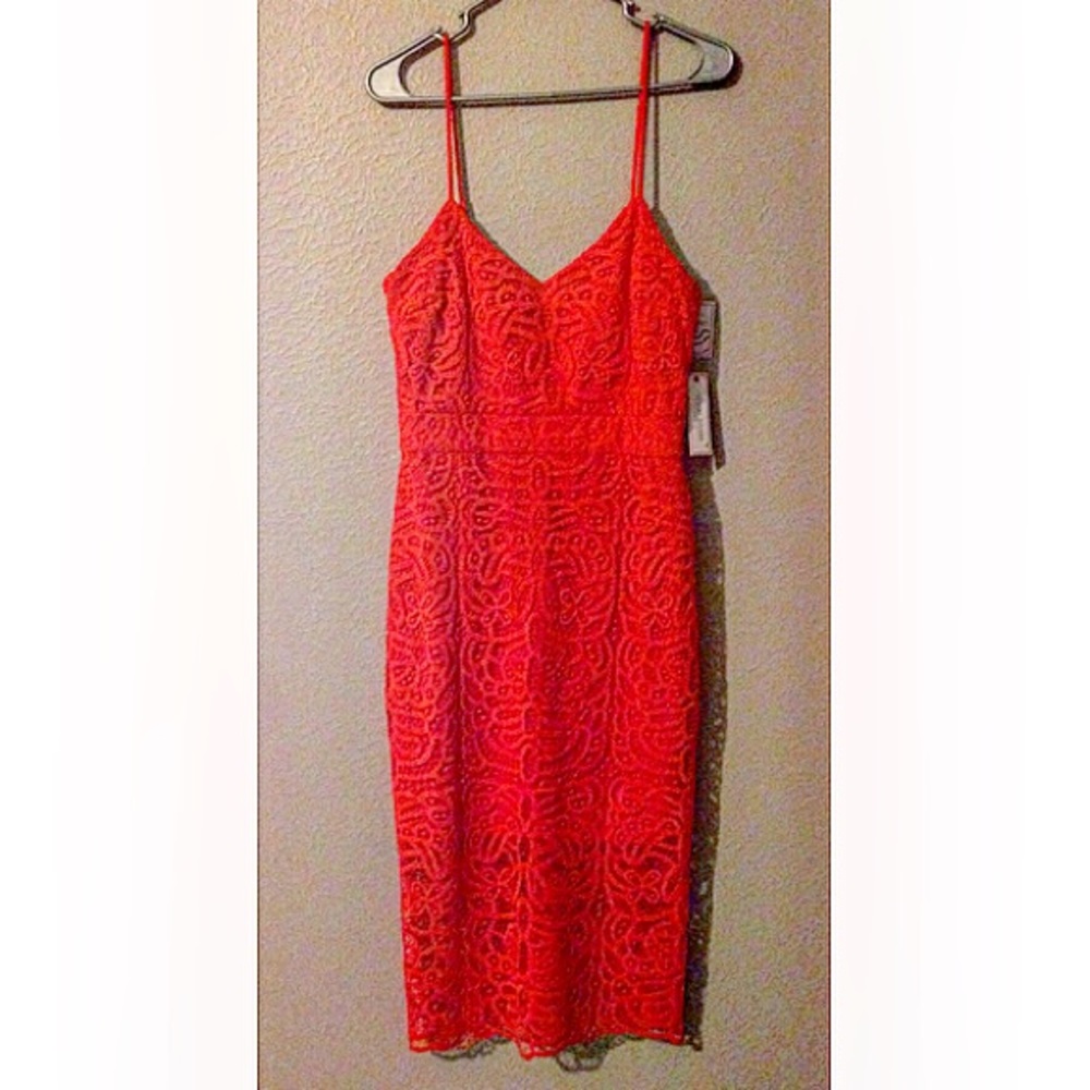 Bisou Bisou Lace Dress