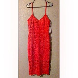 Bisou Bisou Lace Dress