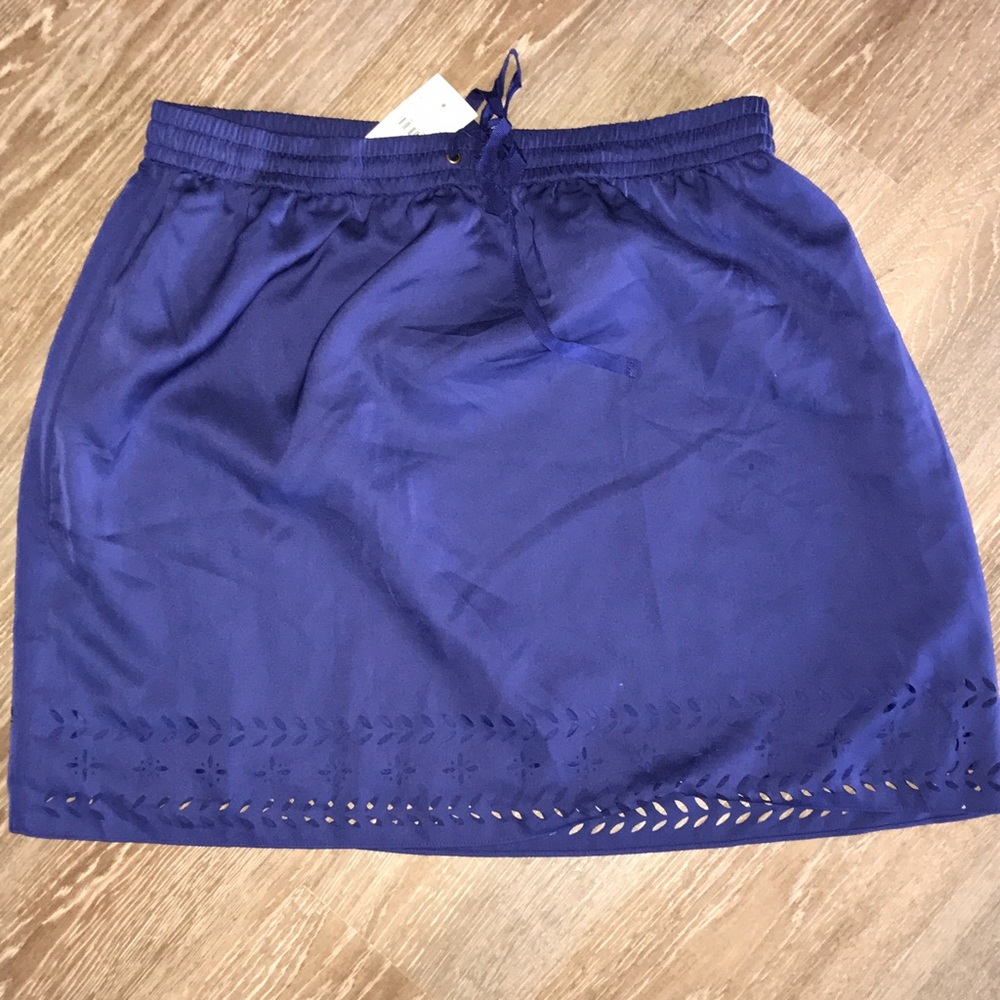J. Crew Skirt