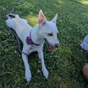 Meet your Posher, Quirino