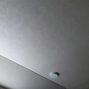 Meet your Posher, Tommy