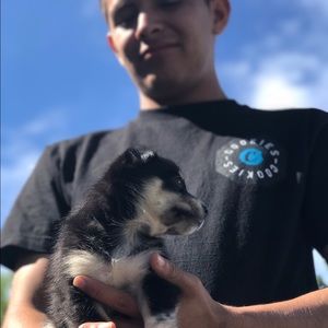 Meet your Posher, Armando