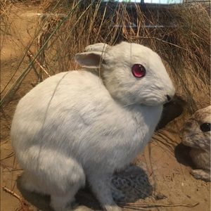 Meet your Posher, Jack