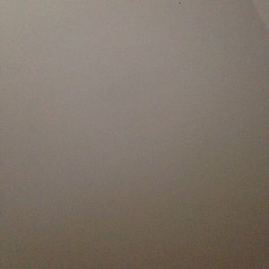 Meet your Posher, Curtis