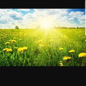 Meet your Posher, Vicky