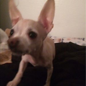 Meet your Posher, Monserrat