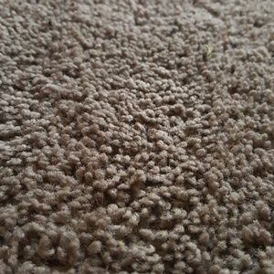 Meet your Posher, Letisha