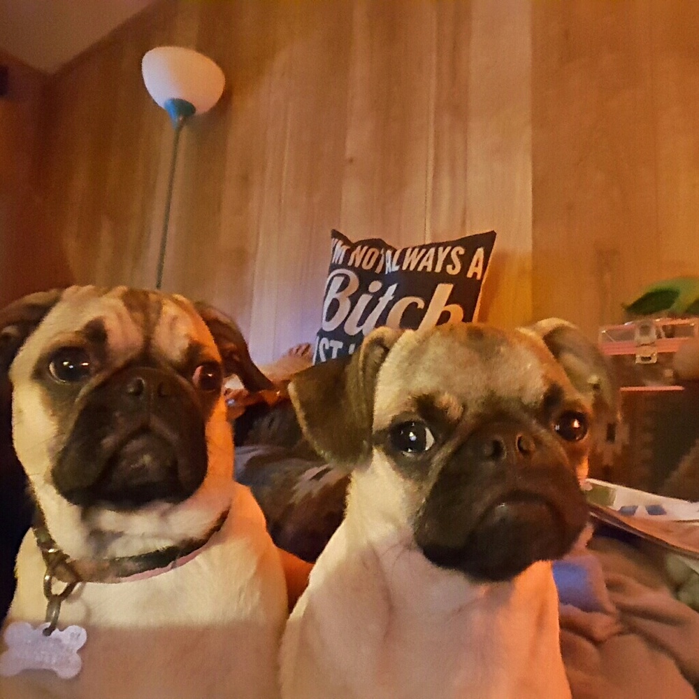 Meet your Posher, Jenny