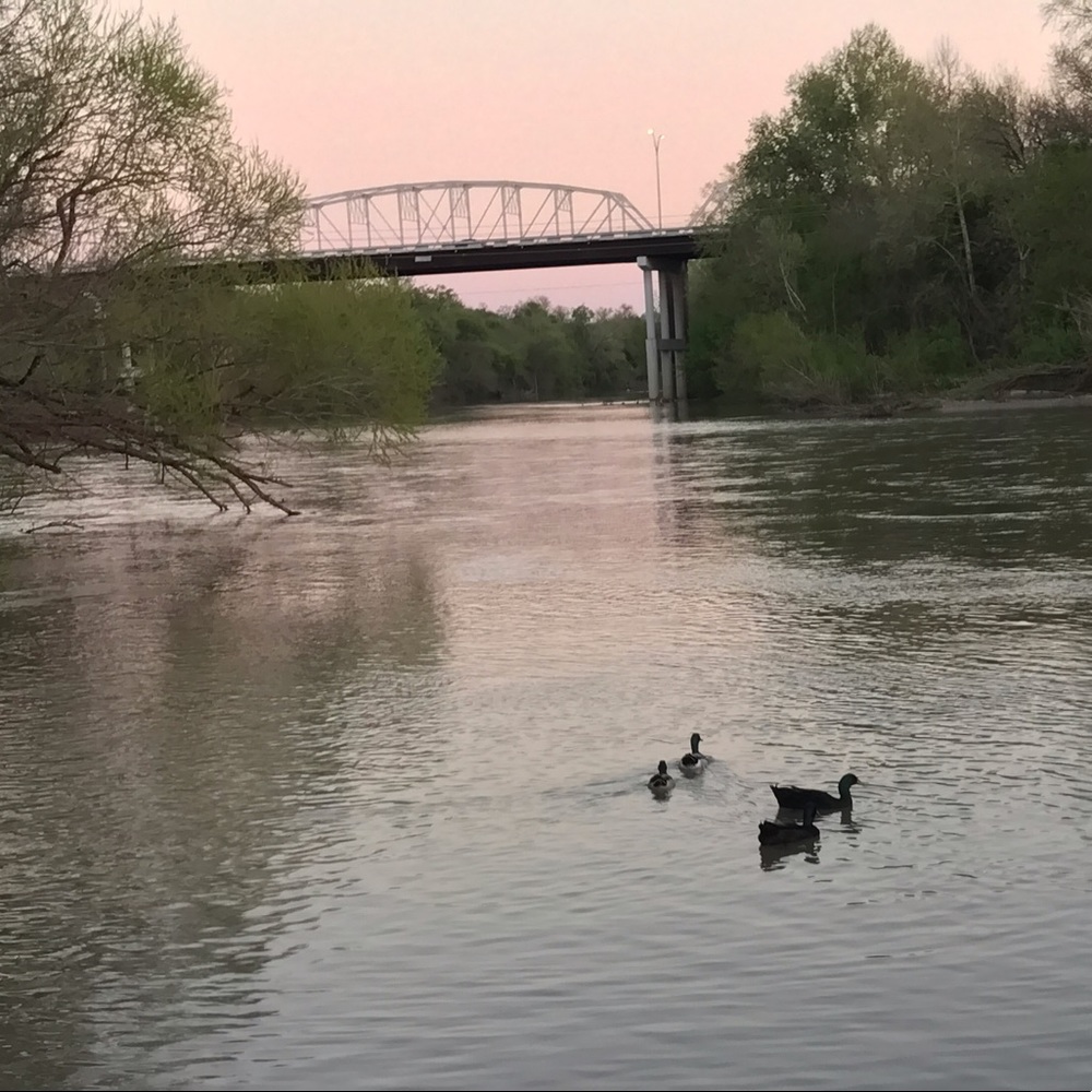 Meet your Posher, Marissa