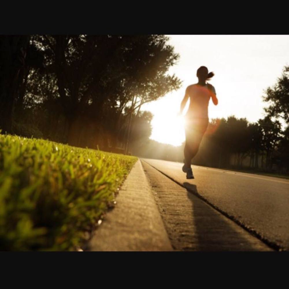 Meet your Posher, Lupe