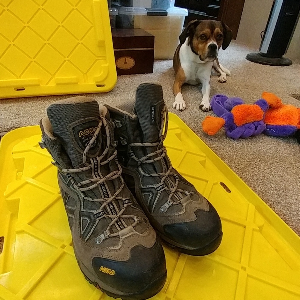 Women's size 8 Asolo Attiva GTX hikers