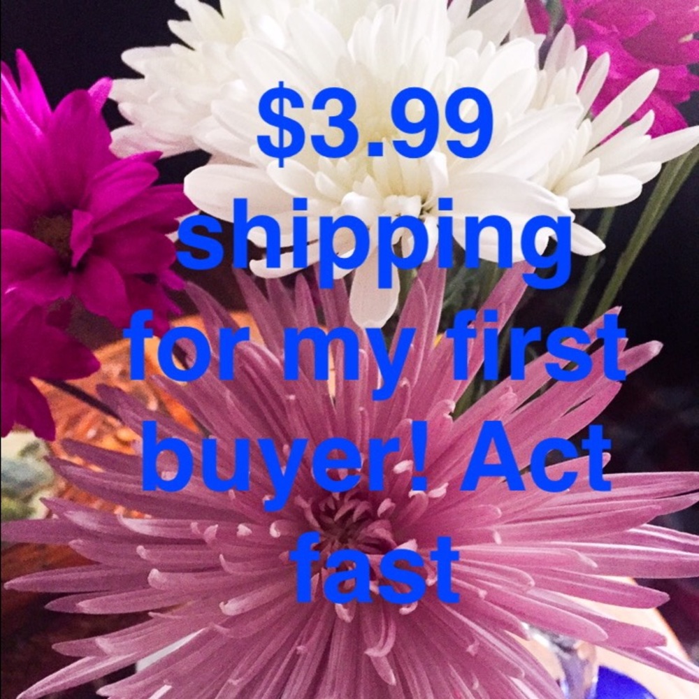 Discount shipping!