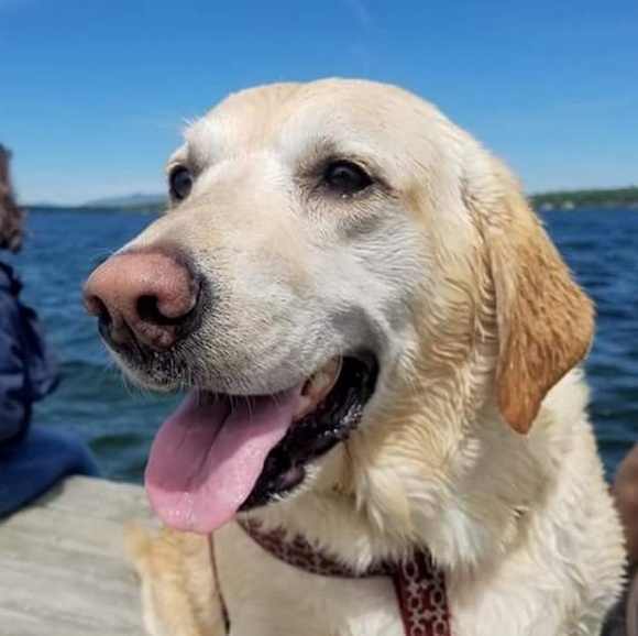 Meet your Posher, Leandra - Picture 1 of 1