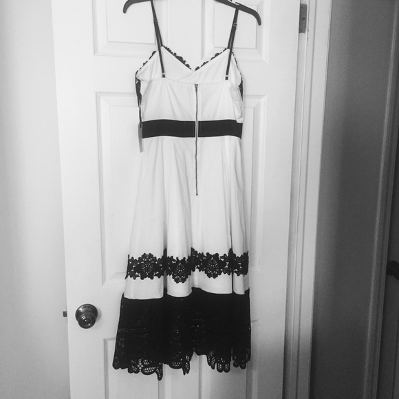 A.M.T. Fit and Flare Dress - Picture 3 of 5